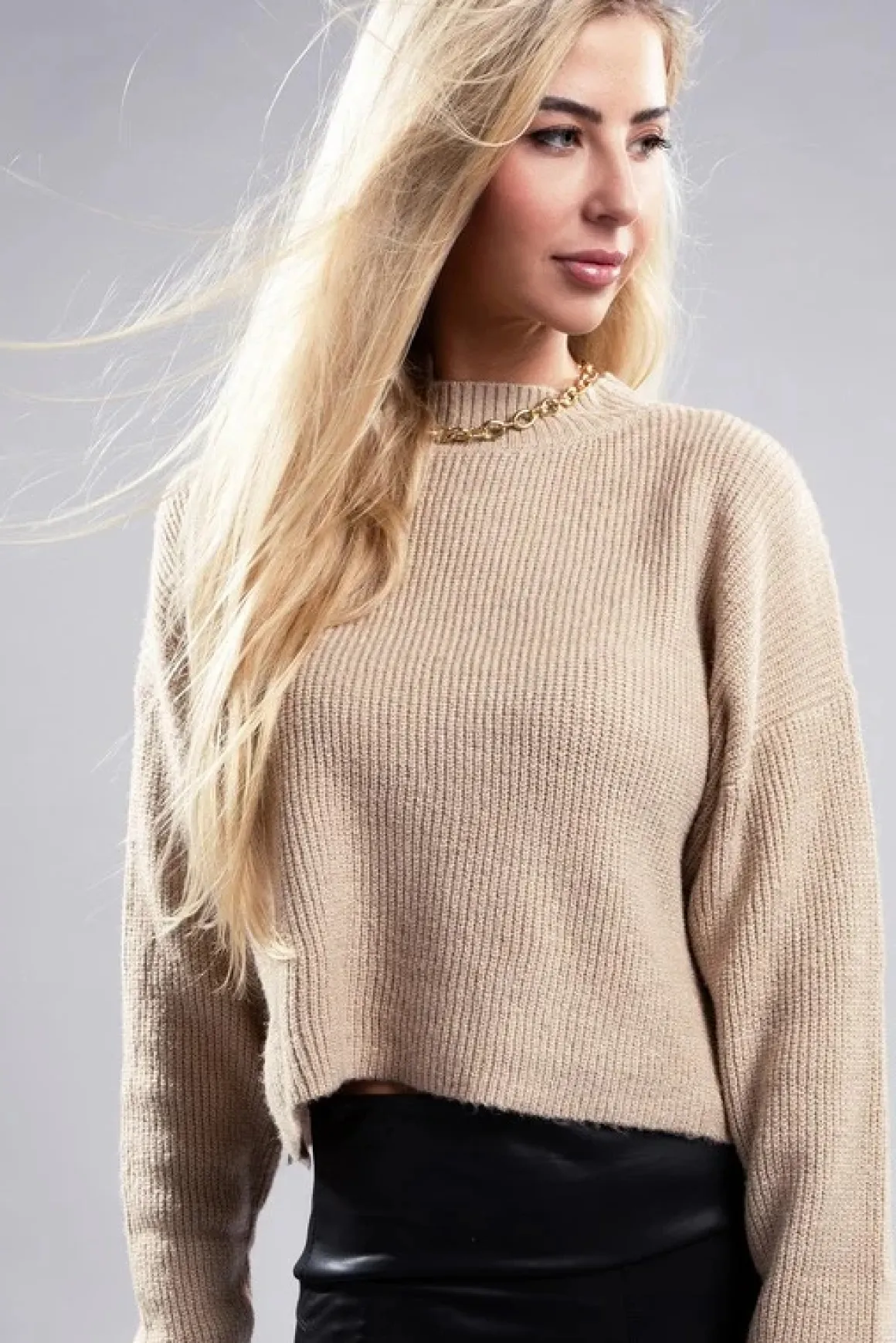 mock_neck_sweater_online__82.webp Mock Neck Sweater *Online Only*